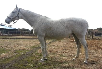 �����ʵ� ����