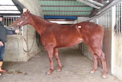 ���ļ���ƪ ����