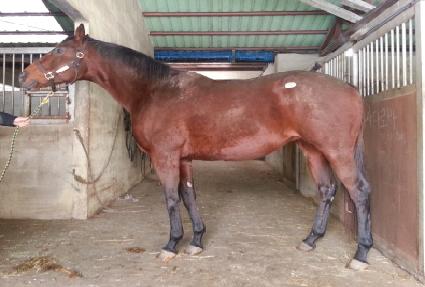 �۸��� ����