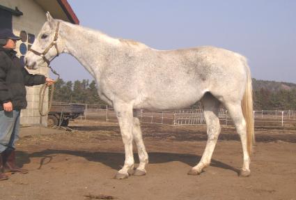 �������𽦺� ����