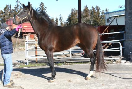 ������������ ����