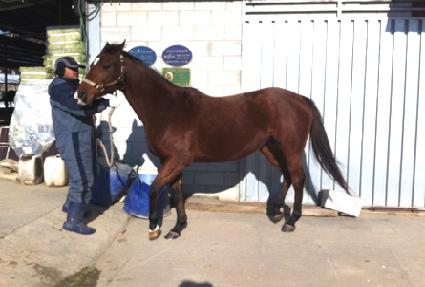 ��Ƽ���� ����