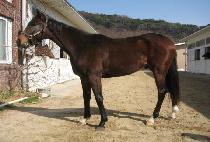 DYNAMIC JILJU picture