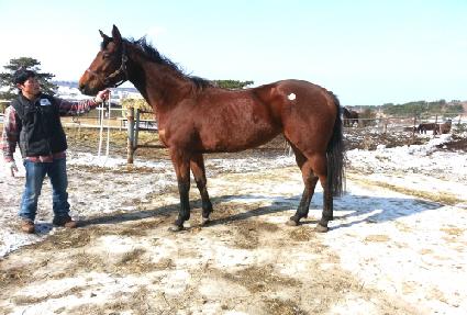 ���ο� ����