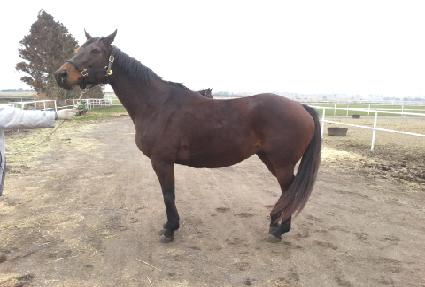 �׷��庸�� ����