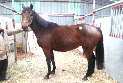 ��������� ����