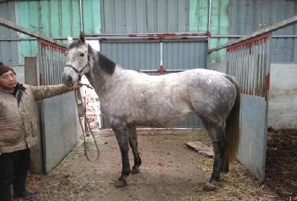 ��Ʈ�κ������� ����