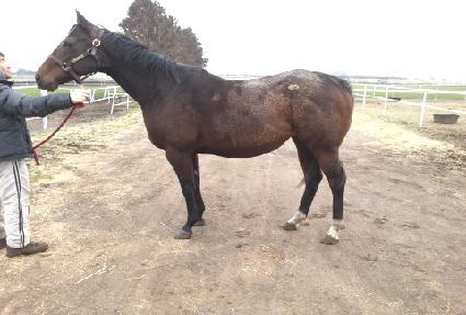 �½�ƿ�� ����