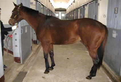 �Ƹ޸�ĭ������ ����