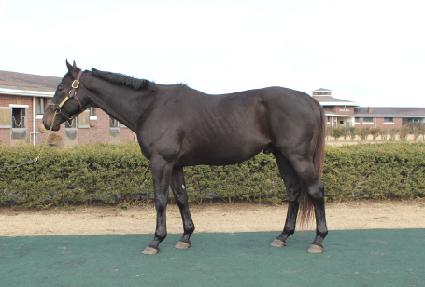 ���ϵ��� ����