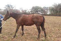 �ٱ۷��� (DA GLAMOUR) ����