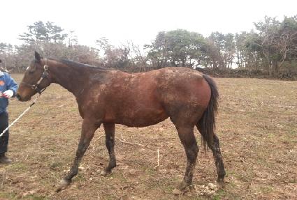 �ٱ۷��� ����