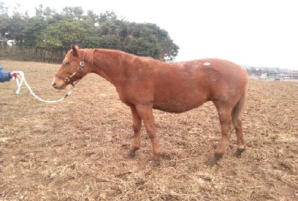 �������� ����