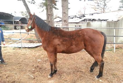 ���۷� ����