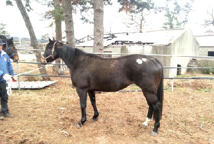 ��Ʈ����� ����