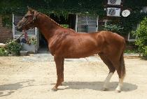 Ÿ�ӷ��ڵ� (TIME RECORD) ����