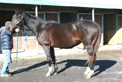 �޾��뷯 ����