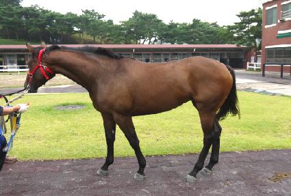 ���Ĺ ����