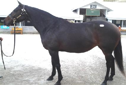 ���ڽ��ȹ̶� ����