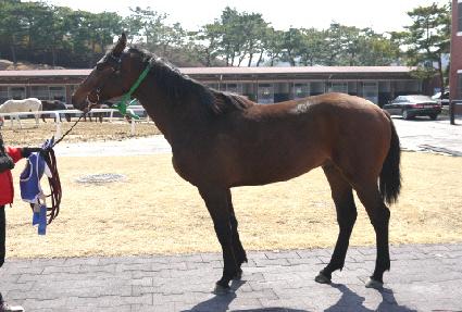 �ٴ����� ����