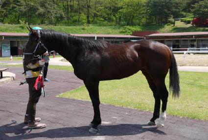 ������ ����