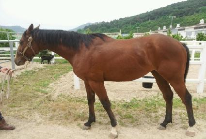 ����Ʈ���� ����