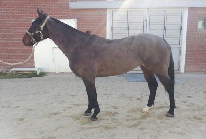 ����Ű���� ����