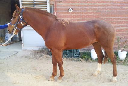 ����Ʈ���е� ����