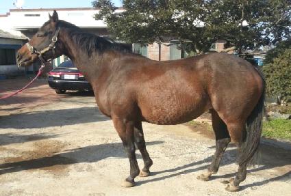 ũ�ν�������̼� ����