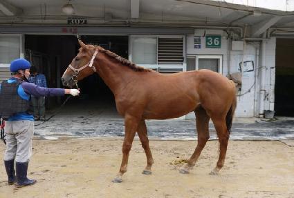 ��ħ�Ҹ� ����