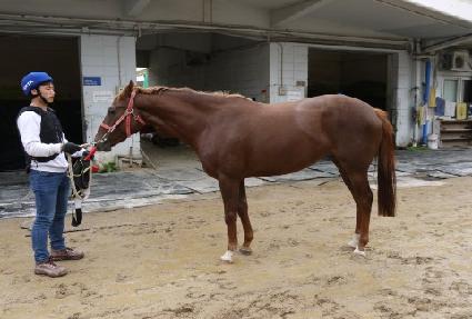 ����Ʈ�� ����