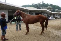 CHEONGUNG STAR picture