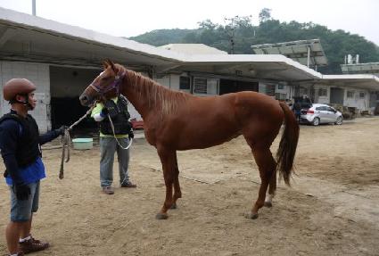 õ�ý�Ÿ ����