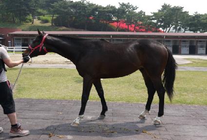 Ȳ���� ����