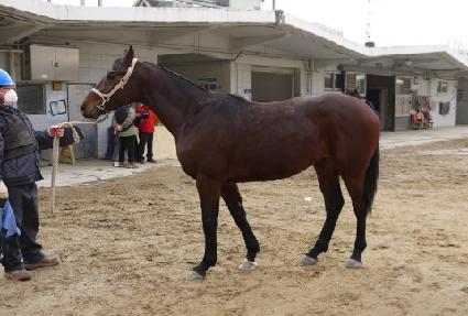 �ɹ� ����