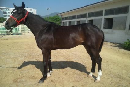 ���ж��� ����