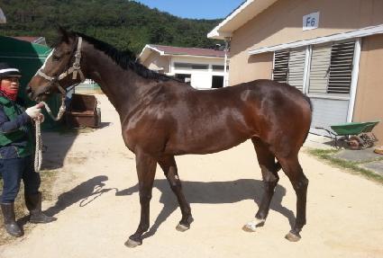 �������� ����