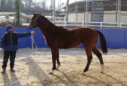 ��ȣ���� ����