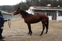 �������� (SEMYEONG YEOSIN) ����