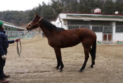 �������� ����