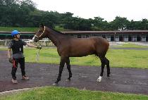 �ݾƸ����� (GEUMA LEADERS) ����