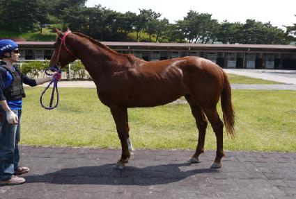 �丣���� ����