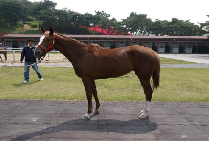 ��������Ʈ ����