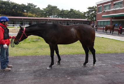 ��þ ����