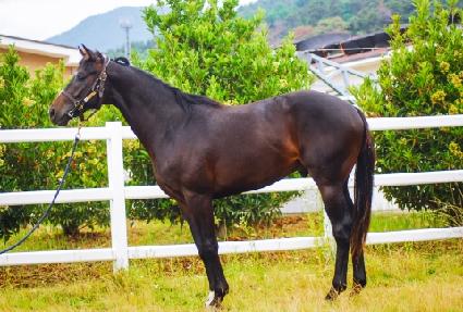 ��Ÿ��Ʈ�� ����