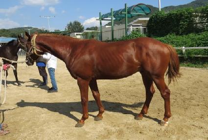 ����� ����