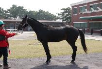 õ�� (CHEONIL) ����