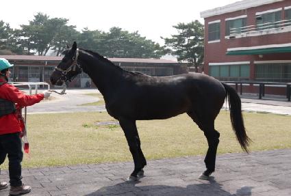 õ�� ����