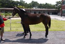 ���й��� (MUPAEMUJEOK) ����