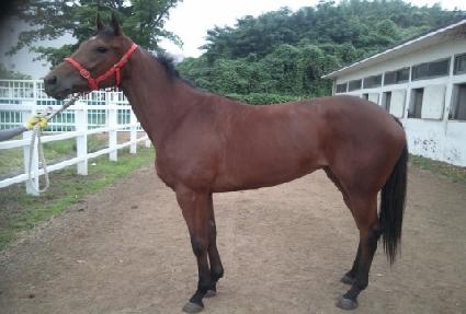 ������ ����